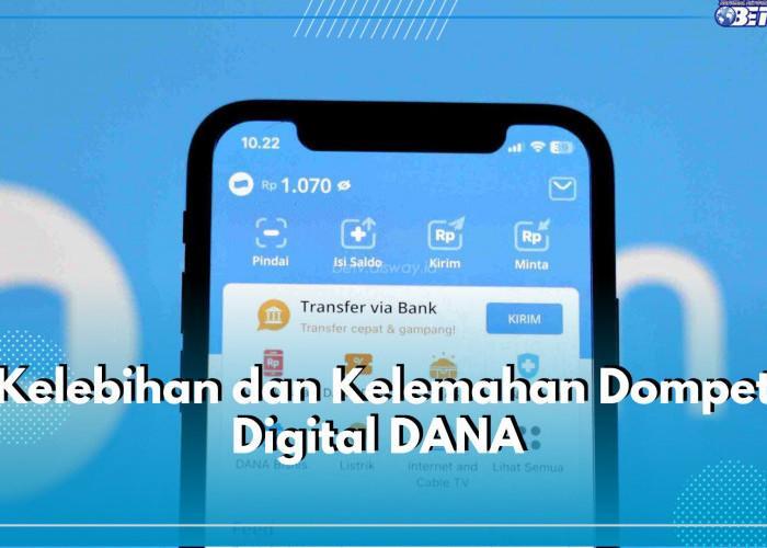 Manfaat dan Keunggulan Dompet Digital Domino Dana